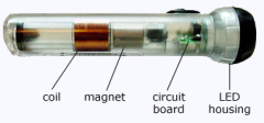 Faraday's Flashlight